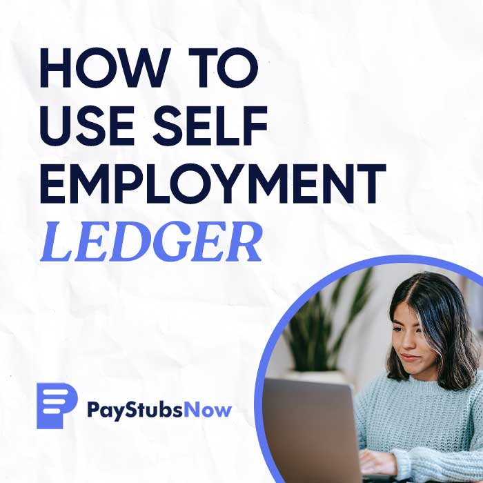 Self Employment Ledger