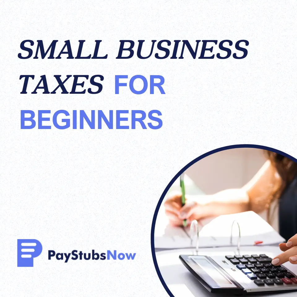 Small Business Taxes for Beginners