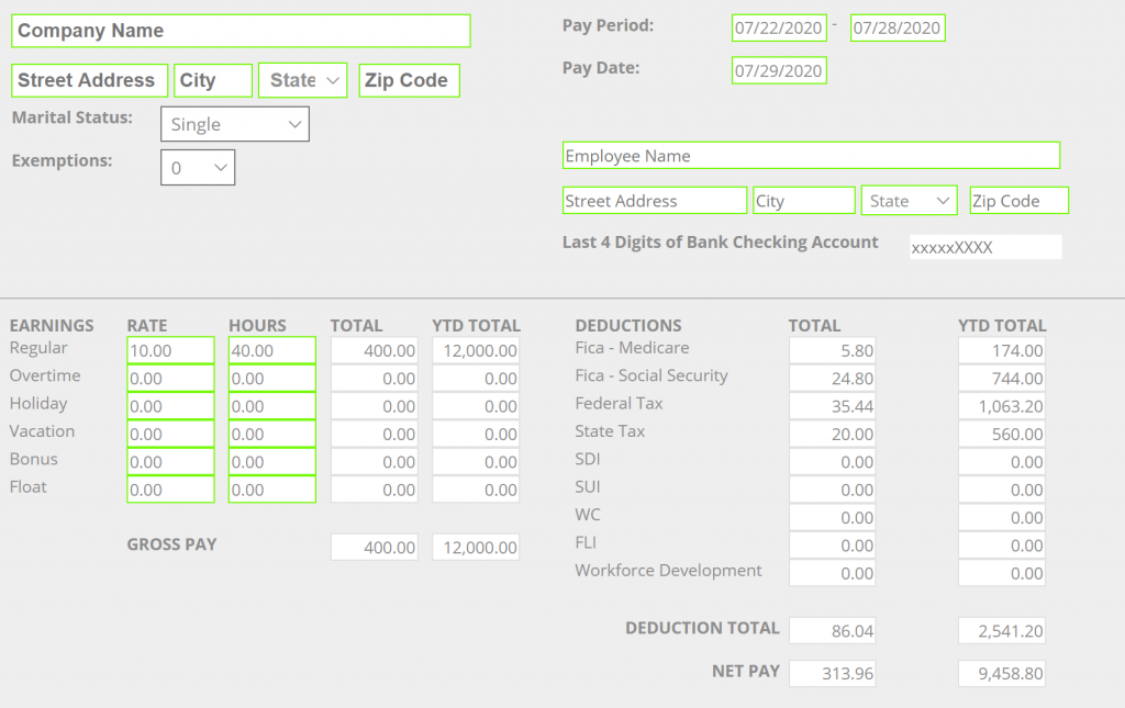 paystub template, the basics of pay stubs