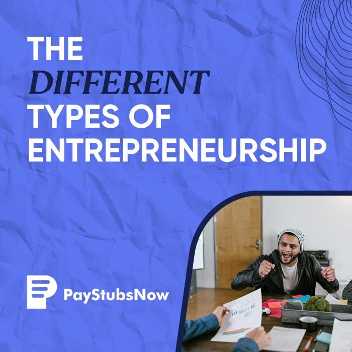 types of entrepreneurship